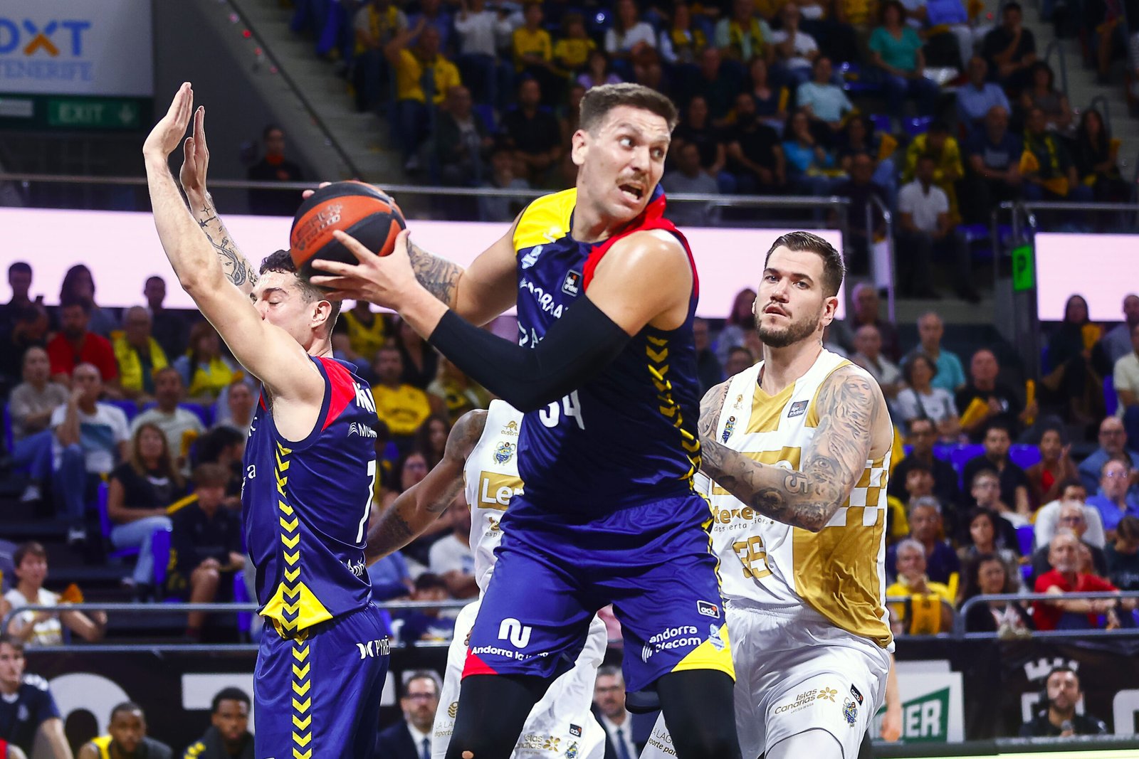 Marin Maric durant el partit a Tenerife / ACB
